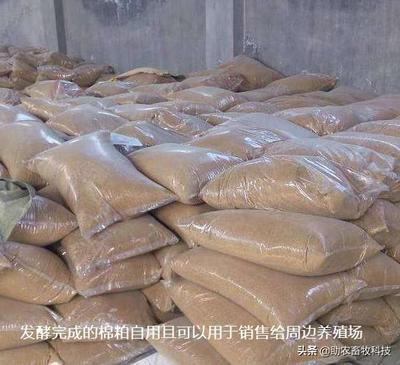 發(fā)酵飼料 抗生素替代與中小養(yǎng)殖場(chǎng)無(wú)抗養(yǎng)殖的可行性分析