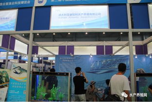 近500家水產產業鏈企業齊聚合肥漁博會，現場亮點紛呈，行業盛事引領產業新方向