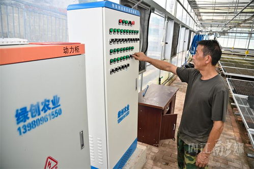 內(nèi)江育苗工廠 科技賦能農(nóng)業(yè)，空調(diào)房里種出“營(yíng)養(yǎng)餐”